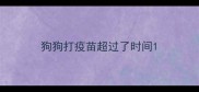 狗狗打疫苗超过了时间