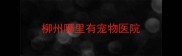 柳州哪里有宠物医院