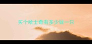 买个哈士奇有多少钱一只