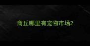 商丘哪里有宠物市场