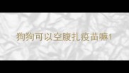 狗狗可以空腹扎疫苗嘛