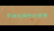泰迪拉褐色的便便