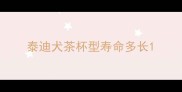 泰迪犬茶杯型寿命多长