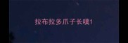 拉布拉多爪子长噗