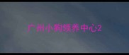 广州小狗领养中心