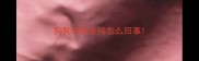狗狗浑身发抖怎么回事