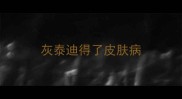 灰泰迪得了皮肤病