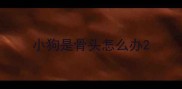 小狗是骨头怎么办
