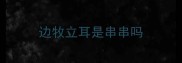 边牧立耳是串串吗