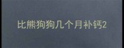 比熊狗狗几个月补钙