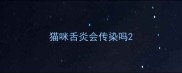 猫咪舌炎会传染吗