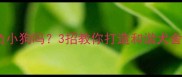 拉布拉多会欺负小狗吗3招教你打造和谐犬舍新手必看
