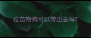 疫苗期狗可以带出去吗