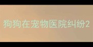 狗狗在宠物医院纠纷