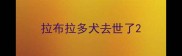 拉布拉多犬去世了