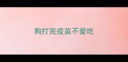 狗打完疫苗不爱吃