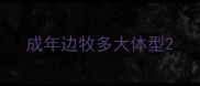 成年边牧多大体型