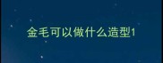 金毛可以做什么造型
