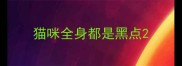 猫咪全身都是黑点