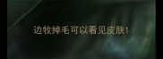 边牧掉毛可以看见皮肤