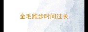 金毛跑步时间过长