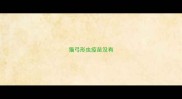 猫弓形虫疫苗没有