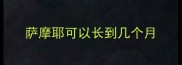 萨摩耶可以长到几个月