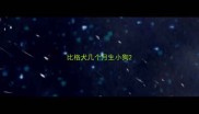 比格犬几个月生小狗