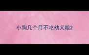 小狗几个月不吃幼犬粮
