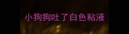 小狗狗吐了白色粘液