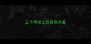 五个月哈士奇身高体重