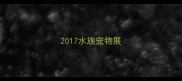 2017水族宠物展