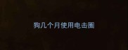 狗几个月使用电击圈