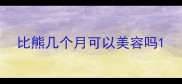 比熊几个月可以美容吗