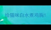 给猫咪白水煮鸡胸