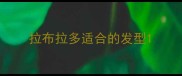 拉布拉多适合的发型