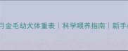 4个月金毛幼犬体重表科学喂养指南新手必看
