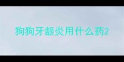 狗狗牙龈炎用什么药