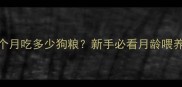 哈士奇2个月吃多少狗粮新手必看月龄喂养全攻略
