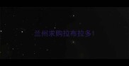 兰州求购拉布拉多