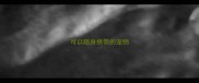 可以随身携带的宠物