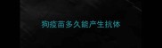 狗疫苗多久能产生抗体
