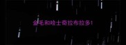 金毛和哈士奇拉布拉多