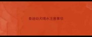 泰迪幼犬喝水注意事项