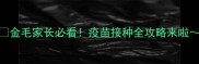 金毛家长必看疫苗接种全攻略来啦