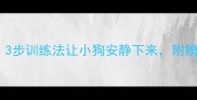 幼犬乱叫不止3步训练法让小狗安静下来附赠超实用教程