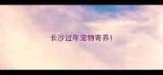 长沙过年宠物寄养