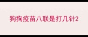 狗狗疫苗八联是打几针