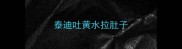 泰迪吐黄水拉肚子