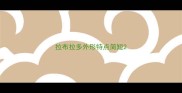 拉布拉多外形特点简短